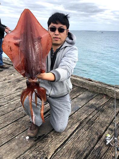 Enjoy The Most Fascinating Night Sport, The Squid Jigging