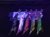 Rui Fishing Tackles Rui Squid Jig Special Top 5 Bundle