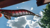 RUI RUI Squid Jig AK48 CLEAR BODY WITH RED SEE THROUGH BACK GLOW Egi Fishing Lure