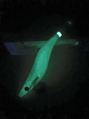 RUI Sporting Goods Fishing Baits, Lures & Flies Jigs RUI SQUID JIG King George Whiting GLOW Belly EGI LURE