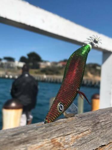 RUI Squid Jig KR21 THE HULK GREEN TURN GOLD RED BELLY Egi Fishing Lure – Rui  Fishing Tackles
