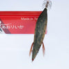RUI Sporting Goods Fishing Baits, Lures & Flies Jigs RUI Squid Jig ST-49N AKA SEA TROUT Size 3.5 Egi Lure